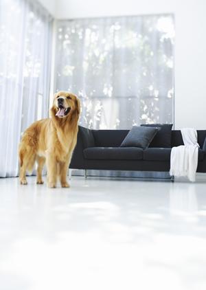 大阪市で叶える理想のリノベーション：選び方と成功の秘訣