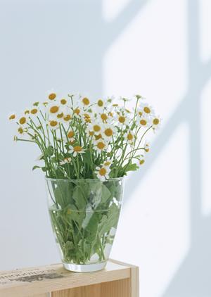 内覧会参加前に知っておきたい！チェックポイントと専門家のアドバイス完全ガイド