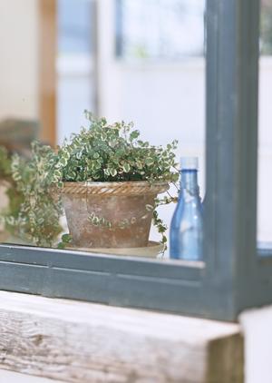 任意売却についての専門家について